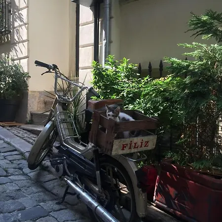 Kumbaraci & 招待所