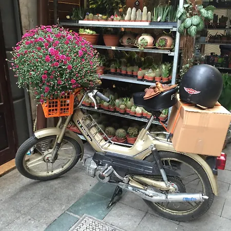 Kumbaraci & 3* Provincia di Istanbul