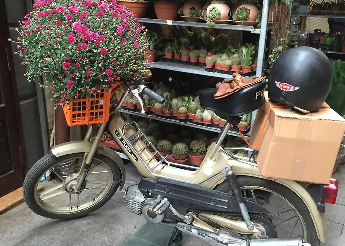 Kumbaraci & 3* Istanbulská provincie